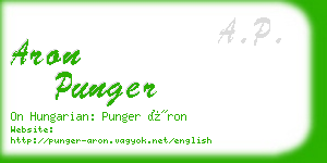 aron punger business card